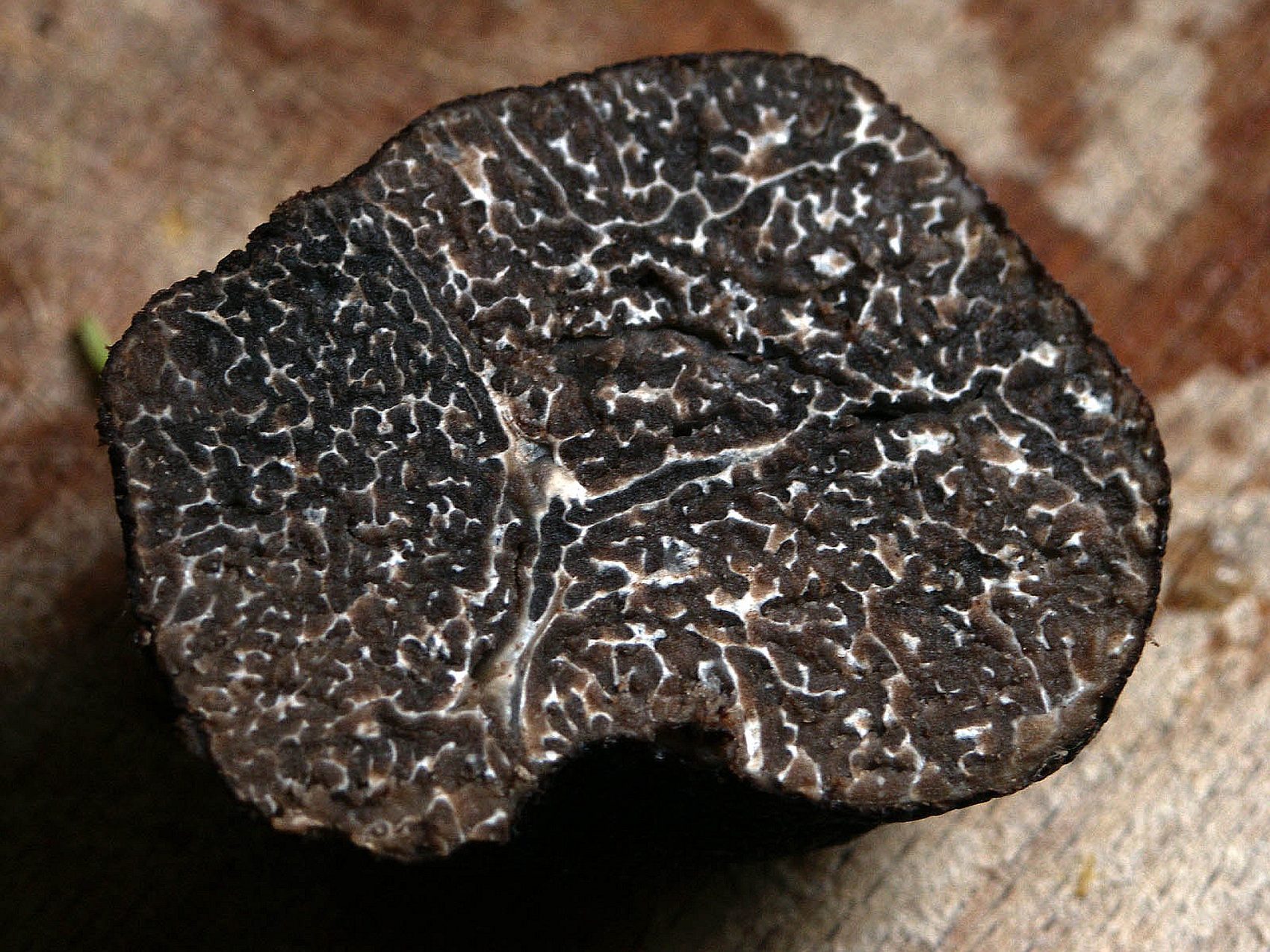 Frische schwarze Trüffel auf Holzbrett